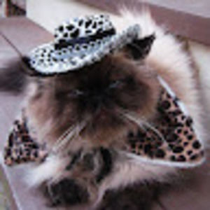 Meet your Posher, Jorge